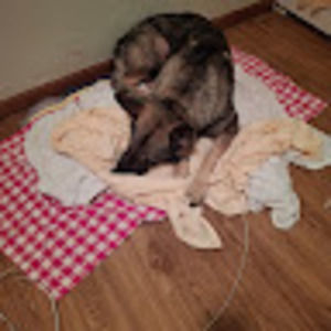 Meet your Posher, Wendy